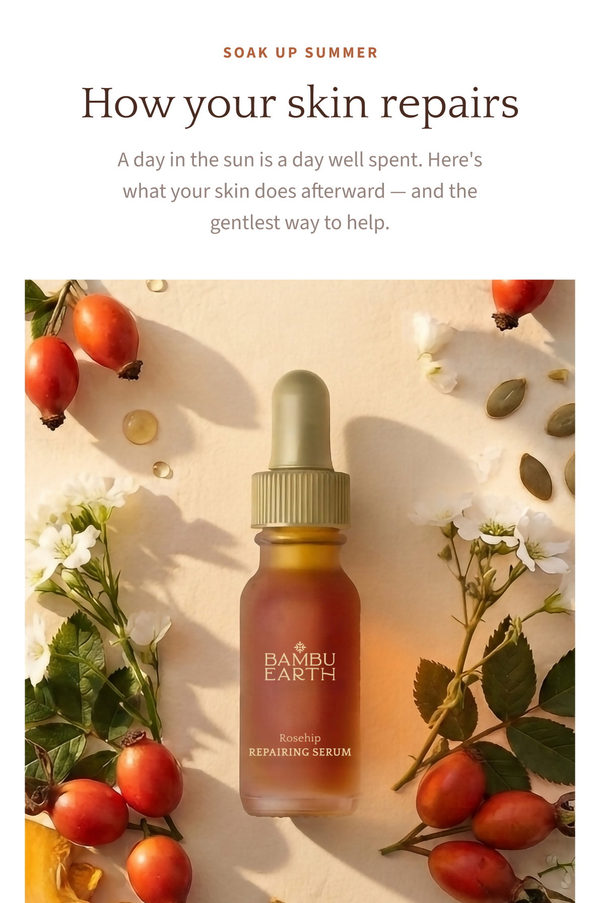 Soak up summer — How your skin repairs. A day in the sun is a day well spent. Here's what your skin does after.