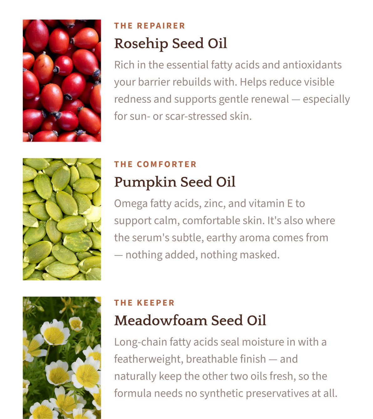 The Repairer — Rosehip Seed Oil, rich in the essential fatty acids and antioxidants your barrier rebuilds with.