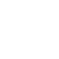 Mit Paypal bezahlen