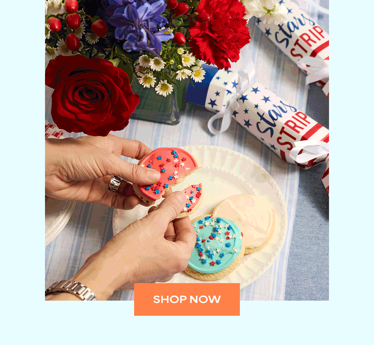 Shop Now