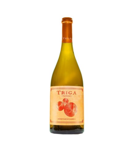 Triga Blanco 2024