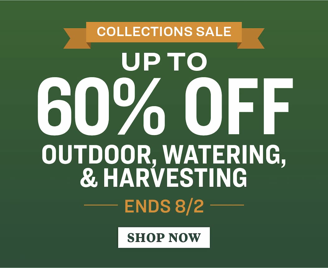 collections sale