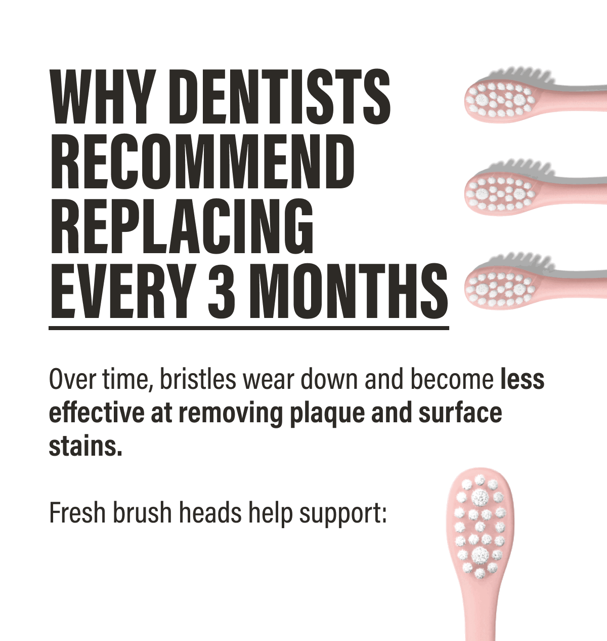 Why Dentists Recommend Replacing Every 3 Months - Over time, bristles wear down and become less effective at removing plaque and surface stains. Fresh brush heads help support: