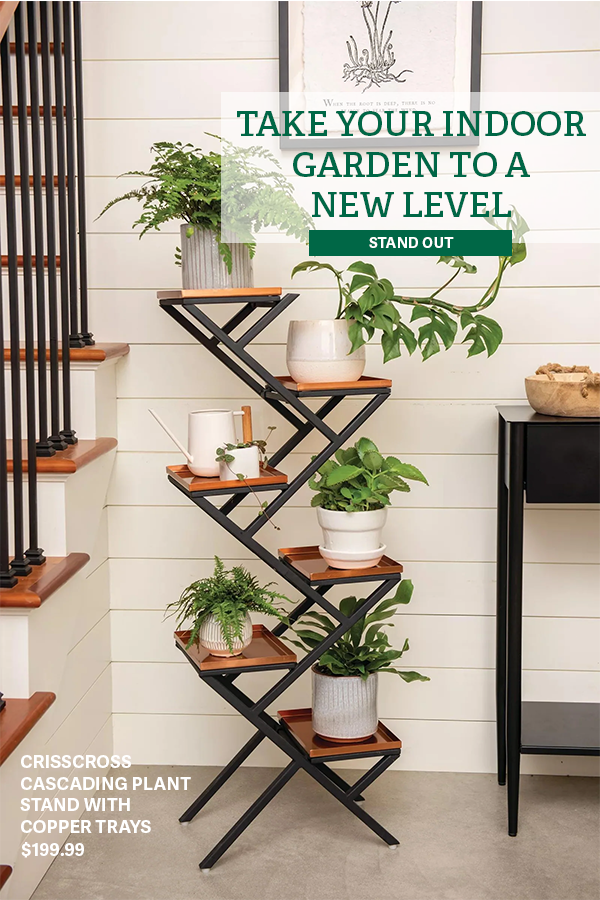 Take Your Indoor Garden to A New Level - STAND OUT