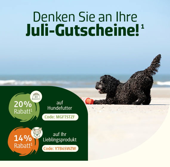 Kalendergutschein aussuchen
