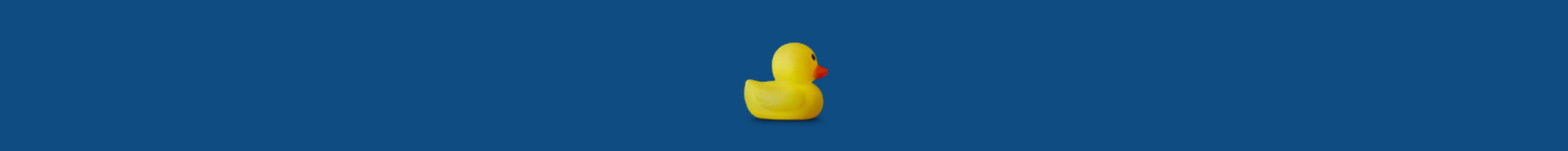 Footer Logo