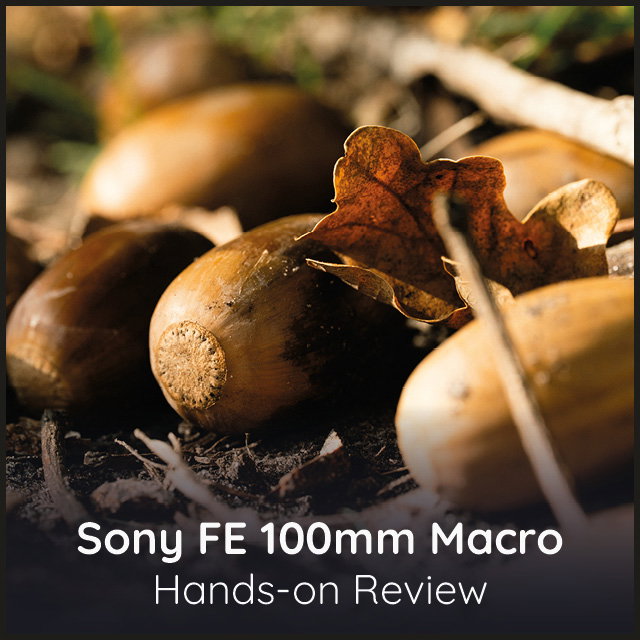 Sony FE 100mm Macro Video