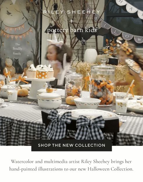 shop the new collection