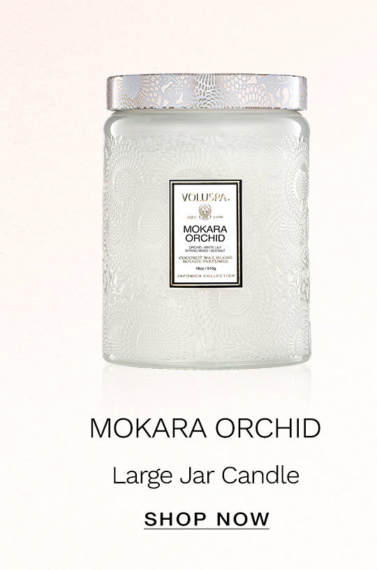 Mokara Orchid