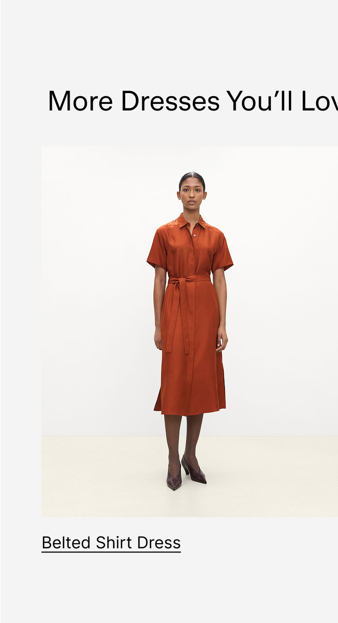 Belted Shirt Dress