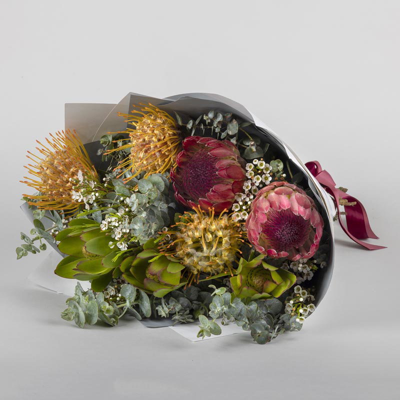 Image of Winter Natives
