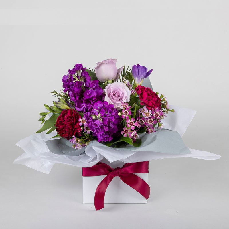 Image of Enchanted Freesia