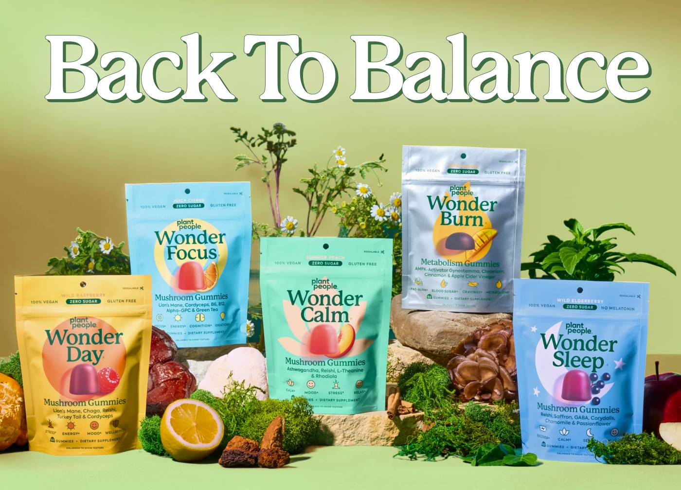 Back to Balance