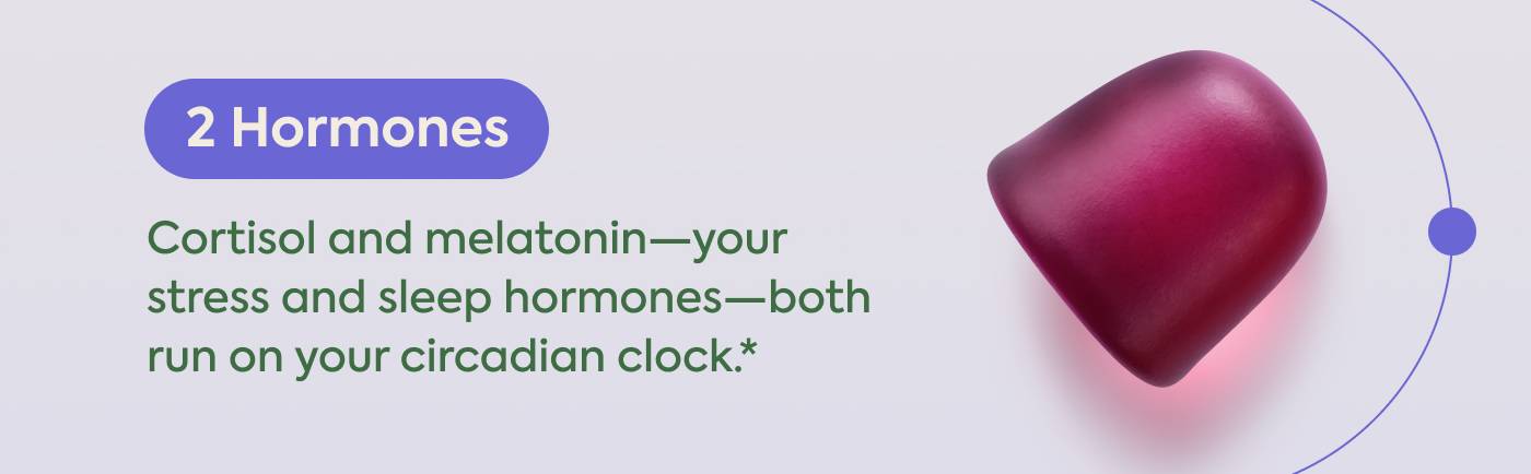 2 Hormones: Cortisol and melatonin—your stress and sleep hormones—both run on your circadian clock.