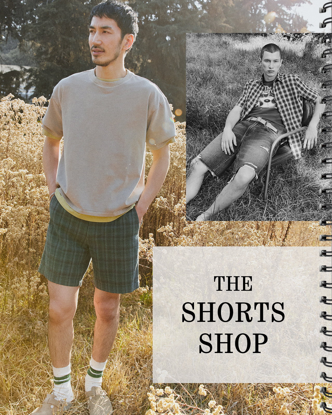 THE SHORTS SHOP