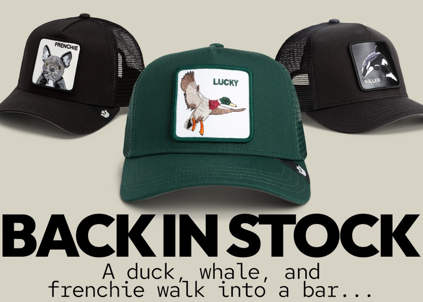 BACK IN STOCK