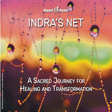 Indra's Net