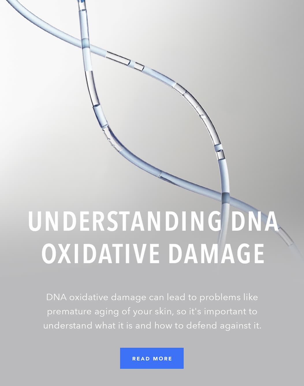 Understanding DNA Oxidative Damage - read more