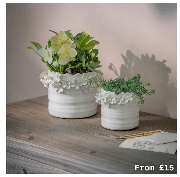 Storrington Pot