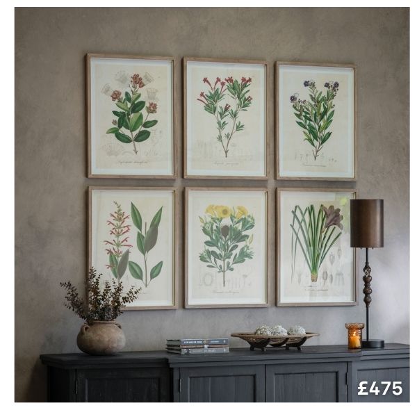 Ormington Set of 6 Wildflower Framed Prints