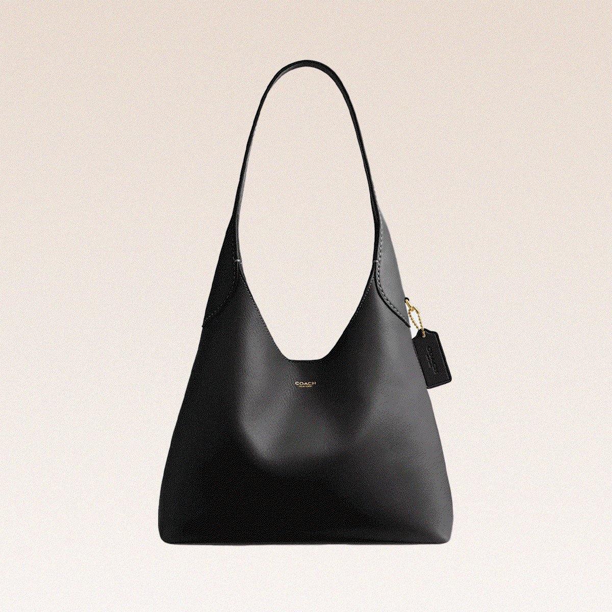 If You're Headed Back to School, the Coach Brooklyn Bag Will Bring You There in Style