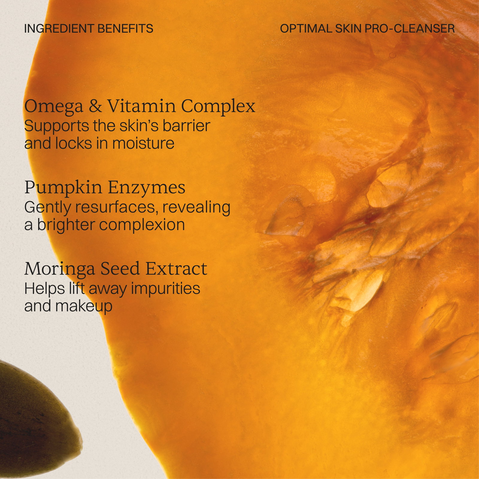 Ingredient Benefits - Omega & Vitamin Complex, Pumpkin Enzymes and Moringa Seed Extract