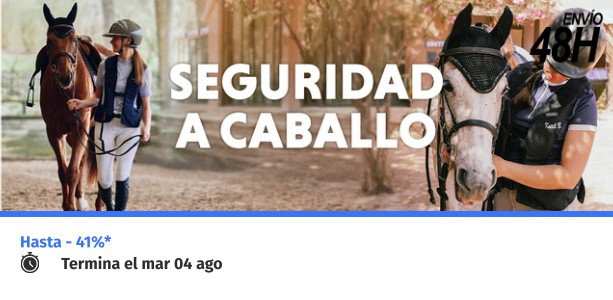 Seguridad a caballo