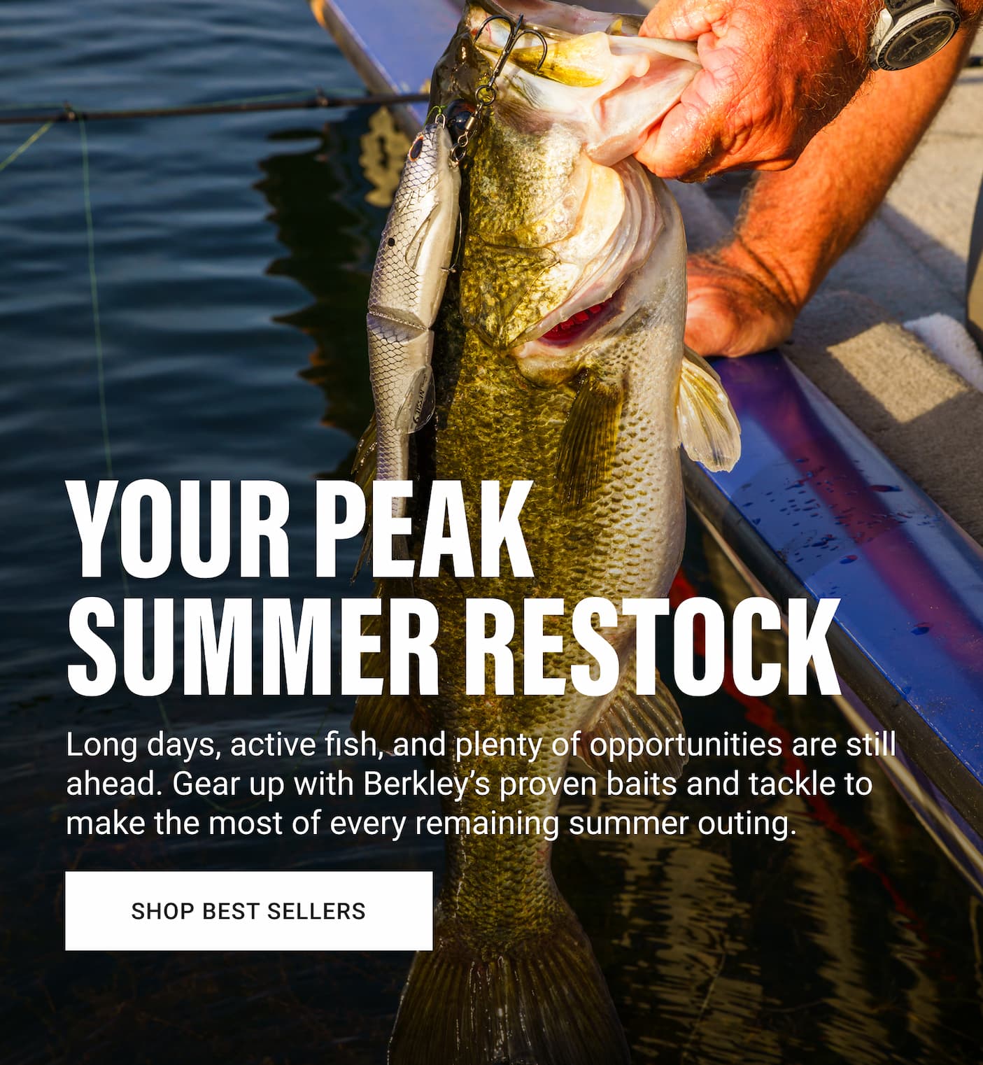Summer Restock Hero