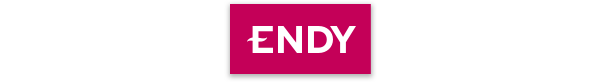 Endy logo