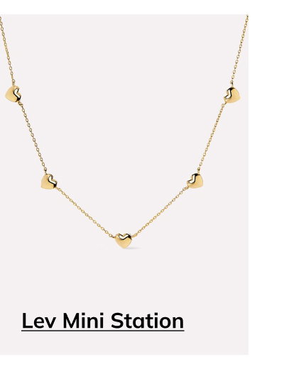 Lev Mini Station