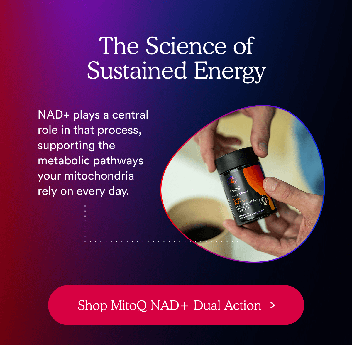 The Science of Sustained Energy
