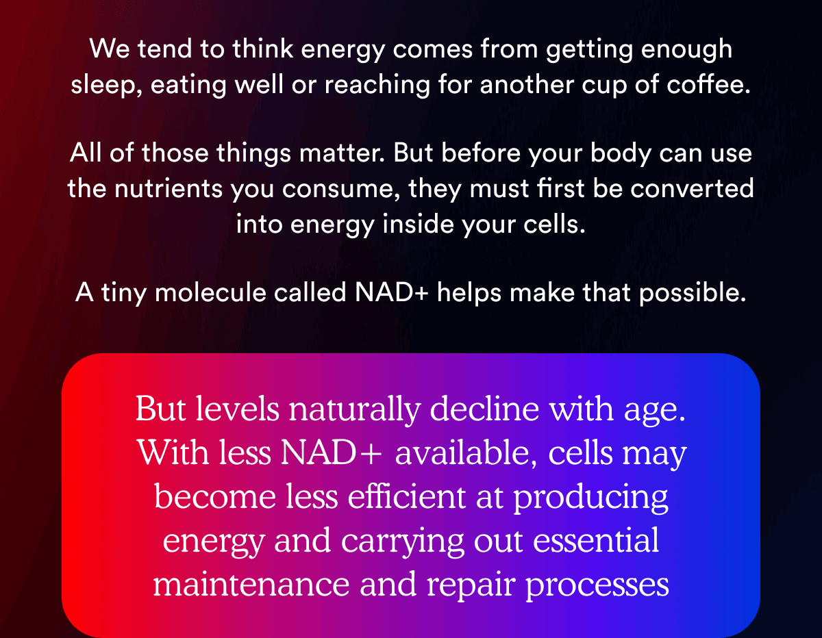 But levels naturally decline with age. With less NAD+ available, cells may become less efficient at producing energy and carrying out essential maintenance and repair processes