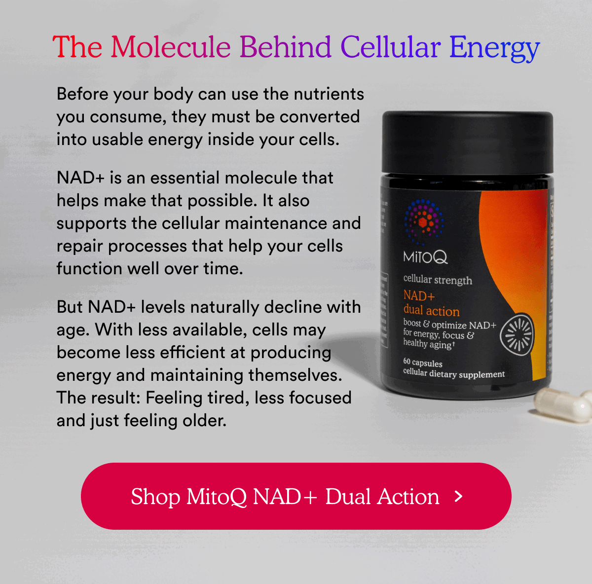 The Molecule Behind Cellular Energy