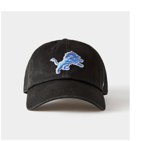 DETROIT LIONS