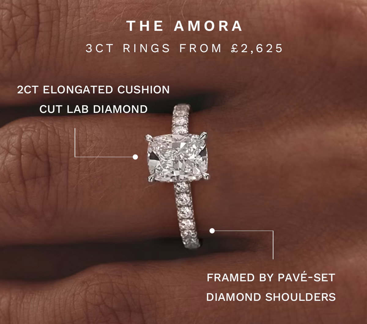The Amora