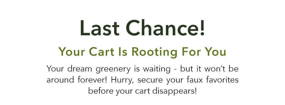Last Chance!