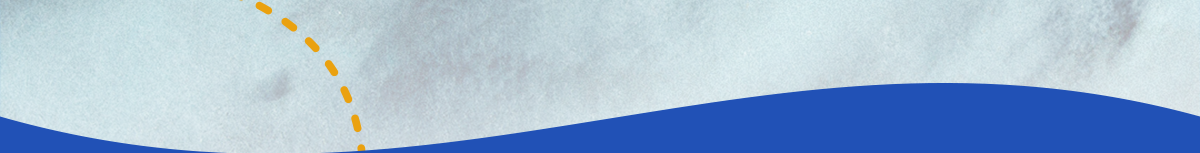 Fahlo donates 10% of net profits to nonprofit wildlife conservation partners, and this collection is no exception, supporting Saving the Blue in their mission to protect hammerhead sharks. Track a hammerhead shark now!