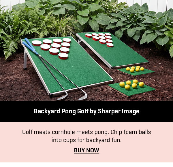 Backyard Pong Golf by Sharper Image