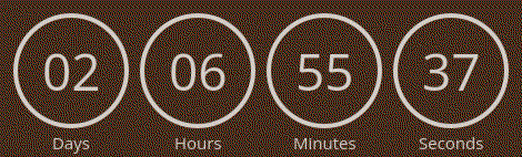 Countdown Timer
