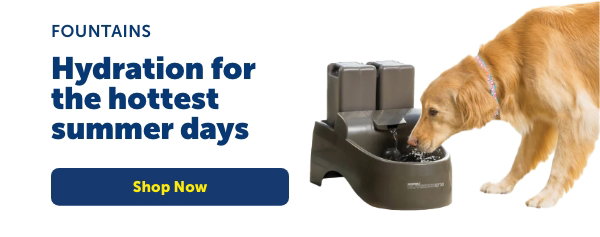 Shop Fountains - Hydration for the hottest summer days