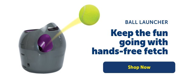 Shop Automatic Ball Launcher - keep the fun going with hands-free fetch