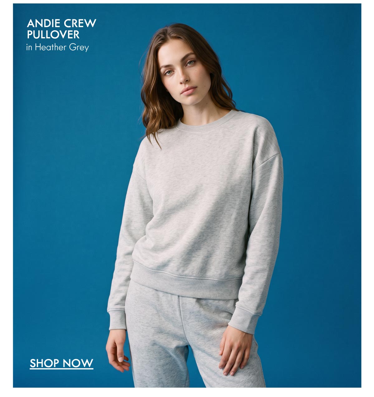 Andie Crew Pullover