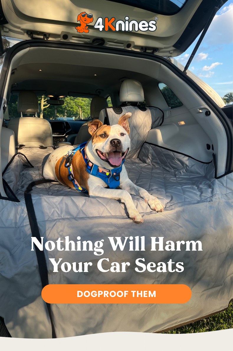 DOGPROOF THEM