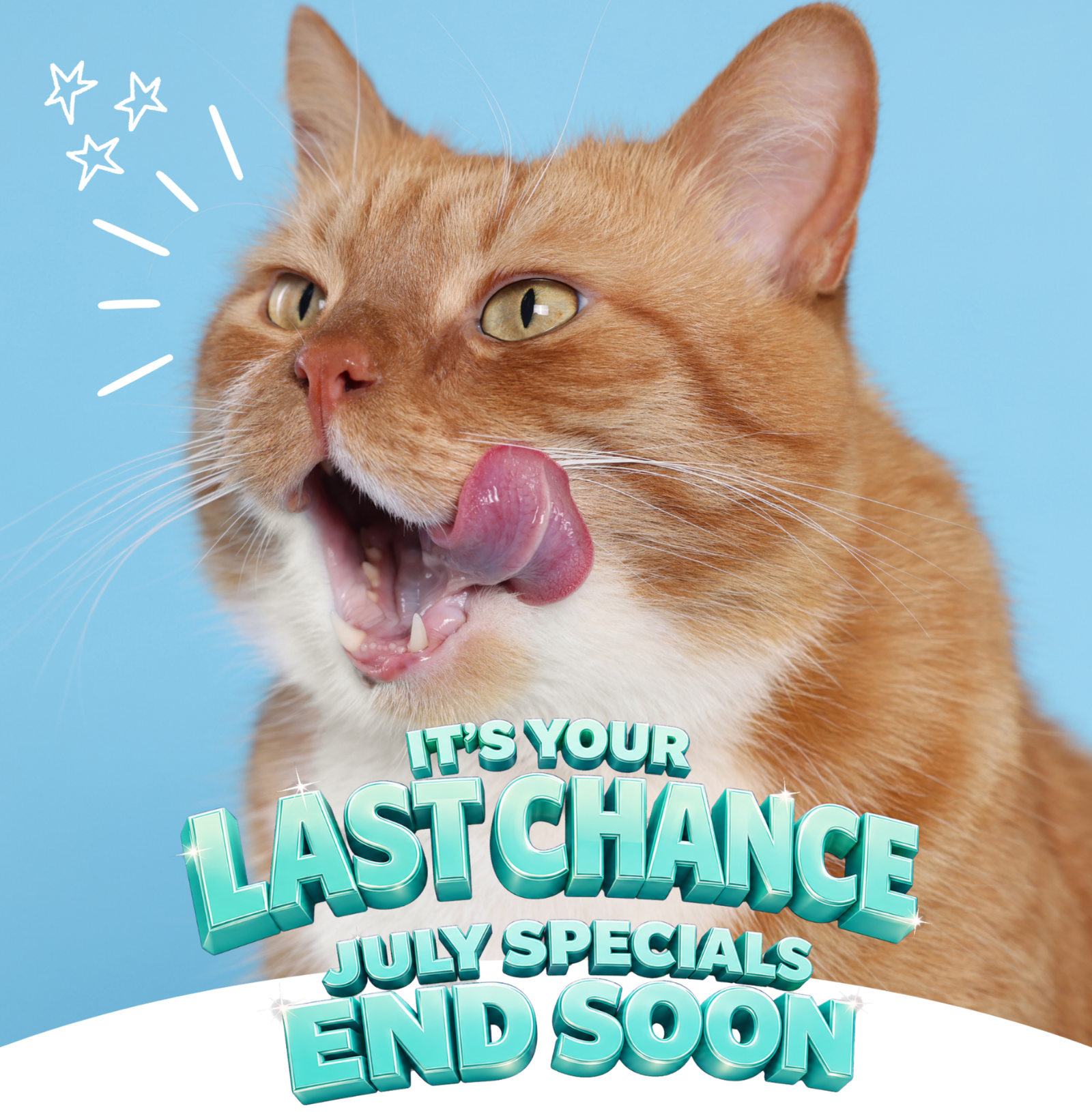 LAST CHANCE SPECIALS