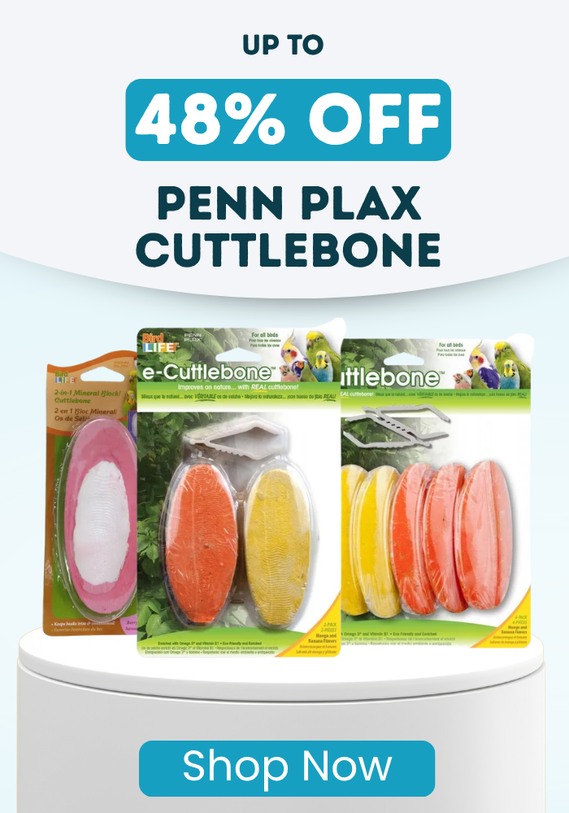 up to 48% OFF Penn Plax Cuttlebone