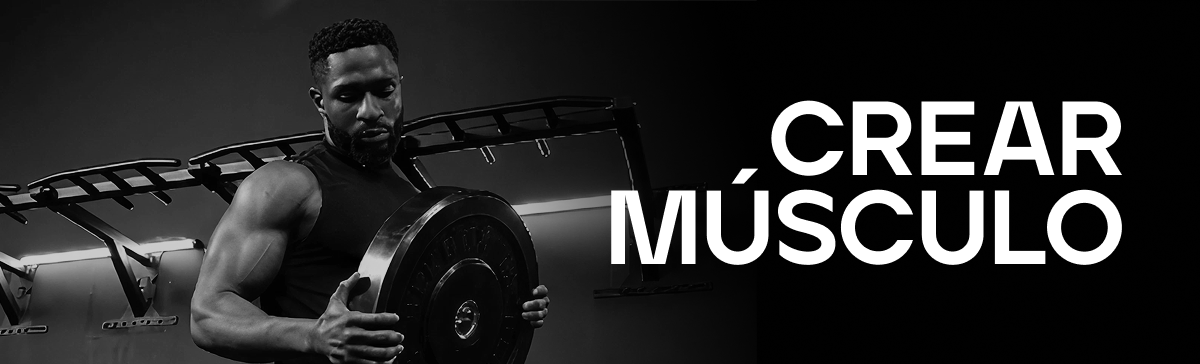Build Muscle