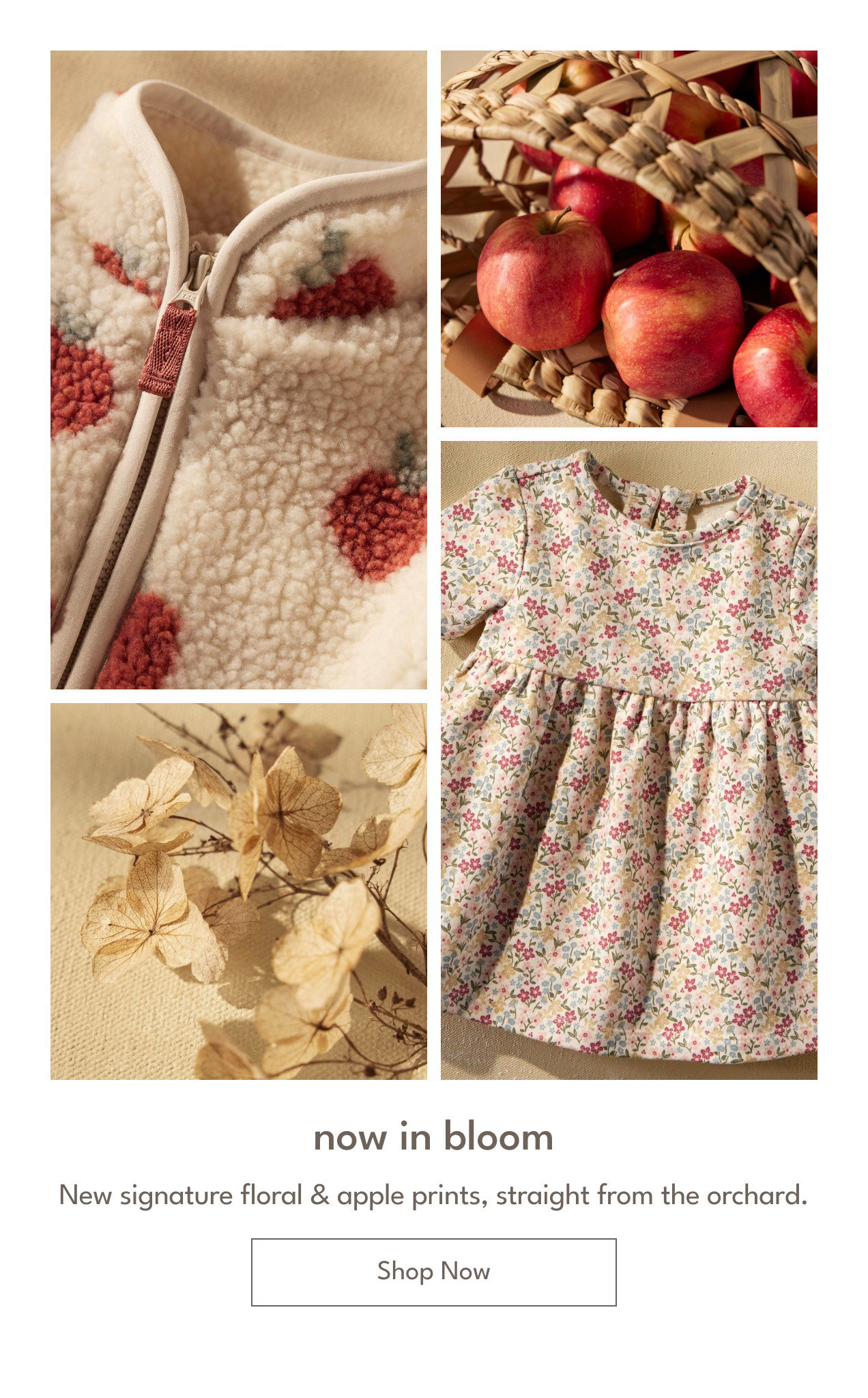 now in bloom | New signature floral & apple prints, straight from the orchard. | Shop Now