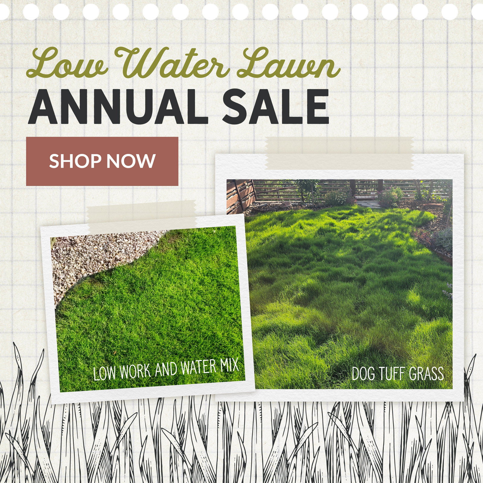 Annual Low-Water Lawn Sale