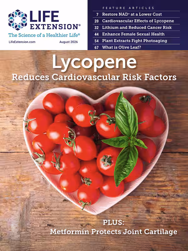 Read Our Magazine