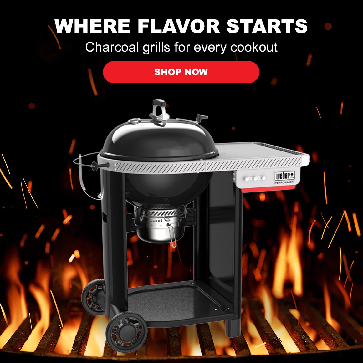 WHERE FLAVOR STARTS | Charcoal grills for every cookout | Shop Now